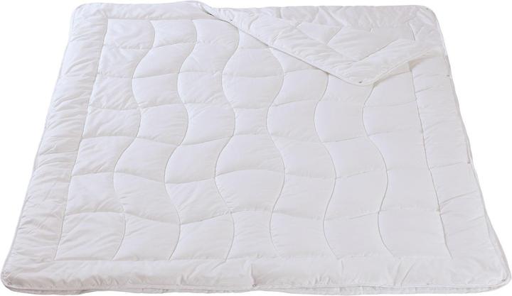 DOR Sanitized (1260 g, Polyester, 160 x 210 cm)