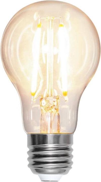 Actual product image Star Trading LED Bulb E27 A60 Clear (E27, 1000 lm, 1x)