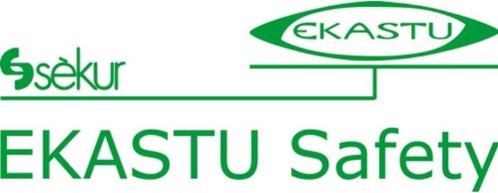 Actual product image Ekastu Sekur Multi-range combi-filter 230 A2B2E2K1-P3R D f.2 pcs./pc.EKASTU (Replacement respirator filter)