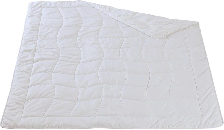 DOR Leicht-Duvet SANITIZED (520 g, Polyester, 200 x 210 cm)