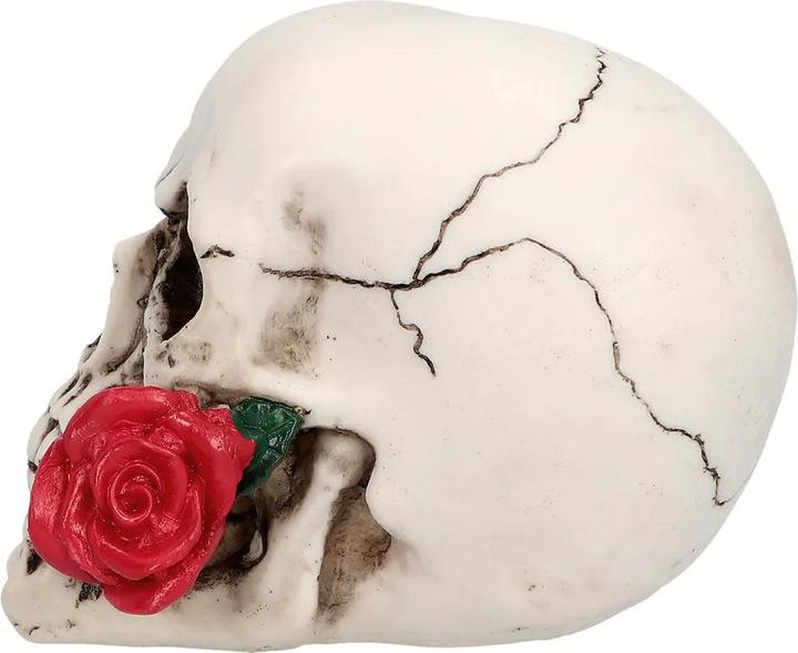 Produktbild Boland Totenkopf Schädel Casanova (1 Stück)