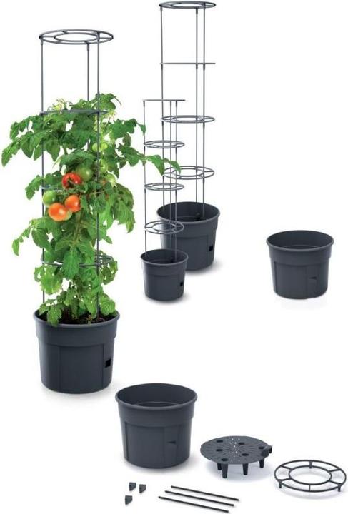 Actual product image Prosperplast Tomato grower IPOM300 tomato pot (29.50 x 61 cm)