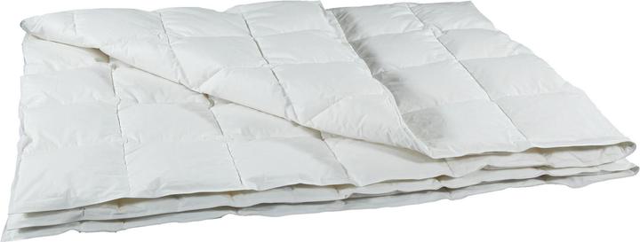 Image du produit Albis Line 200 duvet léger (440 g, 200 x 210 cm)