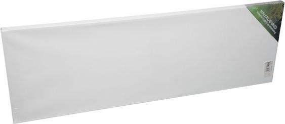 Winsor & Newton Peinture sur toile (bs) 20x60cm 18mm