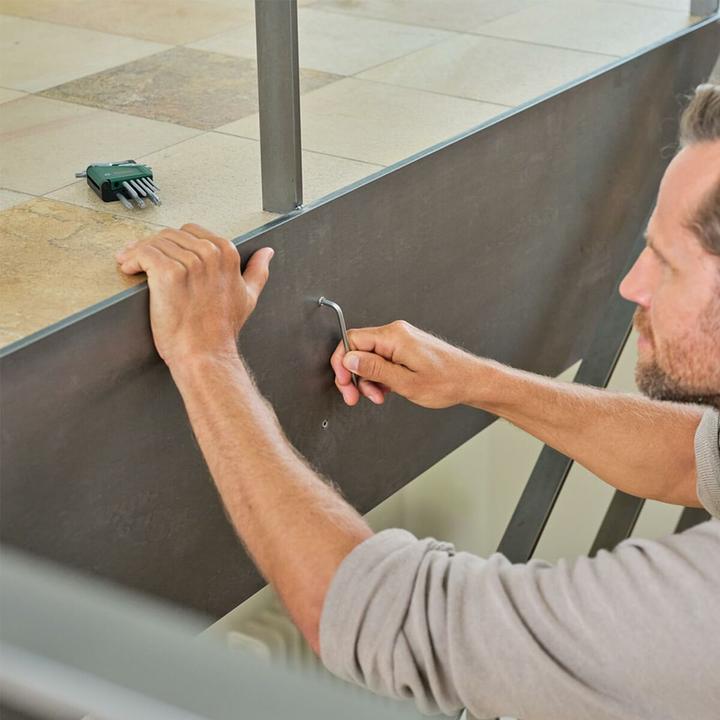 Produktbild Bosch Professional BOSCH Innenstern Winkelschlüssel Set, 1600A02Z9C, 9-teilig