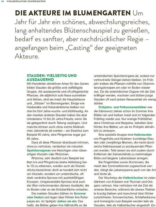Produktbild Das grosse Buch der Stauden und Sommerblumen (Deutsch, Joachim Mayer, 2025)