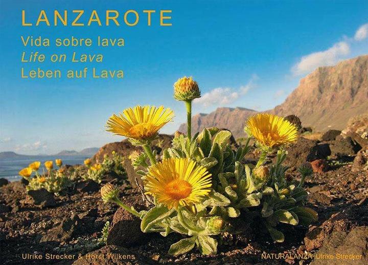 Produktbild Lanzarote - Leben auf Lava (Deutsch, Englisch, Horst Wilkens, Sabine McKiggan, Ulrike Strecker, 2022)