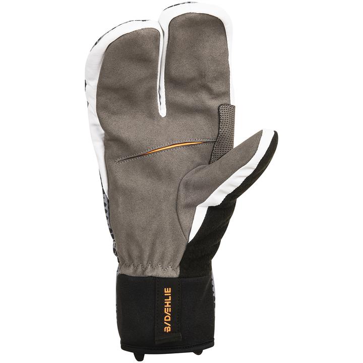 Image du produit Daehlie Claw Active (M)