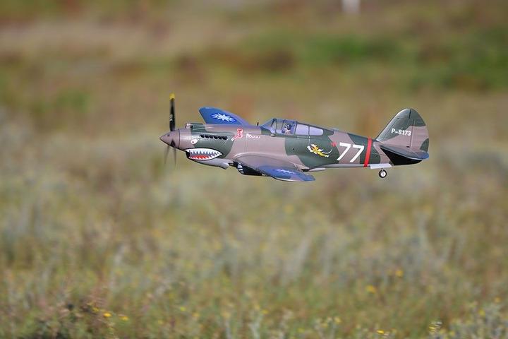 Actual product image FMS p-40b curtiss warhawk flying tiger pnp - 98 cm - - combo incl. reflex gyro system (Warbird)