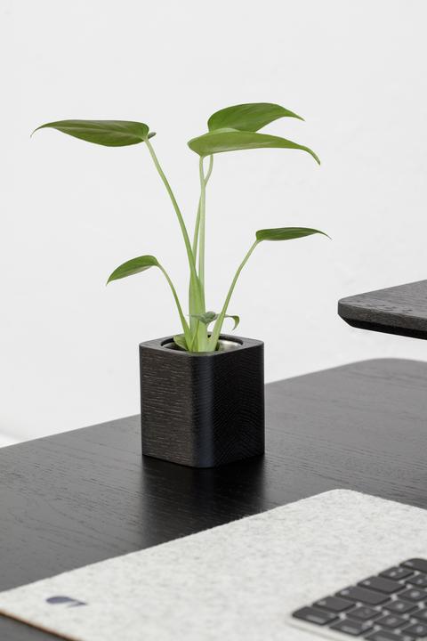 Produktbild Oakywood Cubic Pot Würfeliger Holzbehälter - für Stifte oder eine Blume - Schwarz -