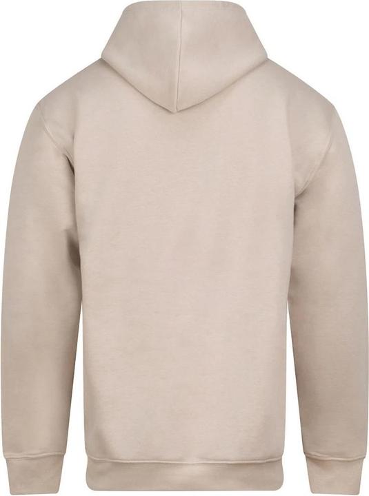 Actual product image Pro RTX Mens Pro Hoodie (4XL)