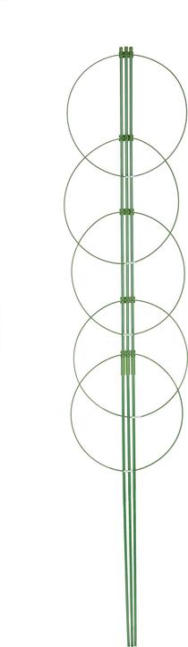 Immagine prodotto Relaxdays 2xsupporti-rampicanti (28 cm, 28 cm)