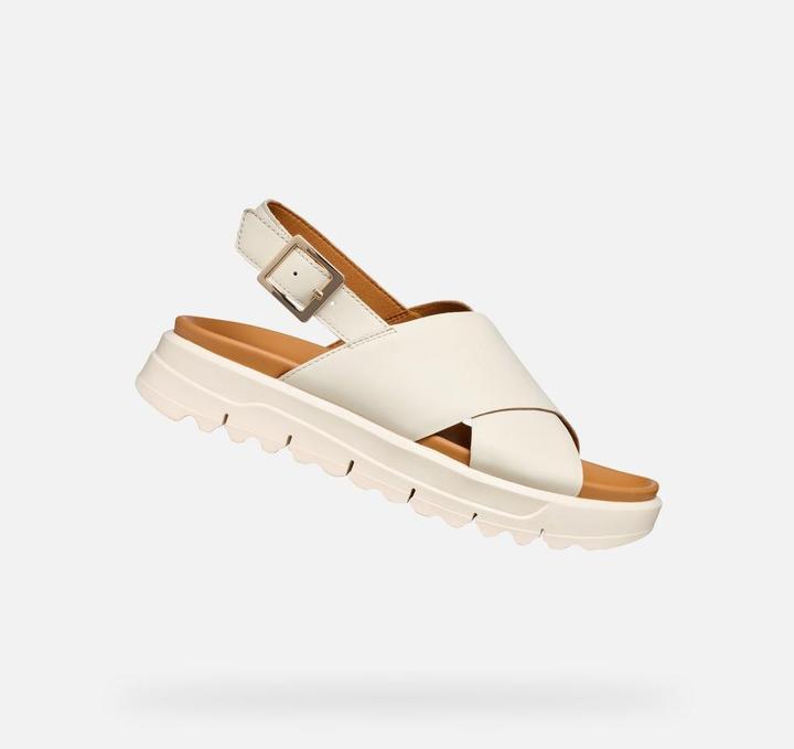 Image du produit Geox Xand 2.1S (40)