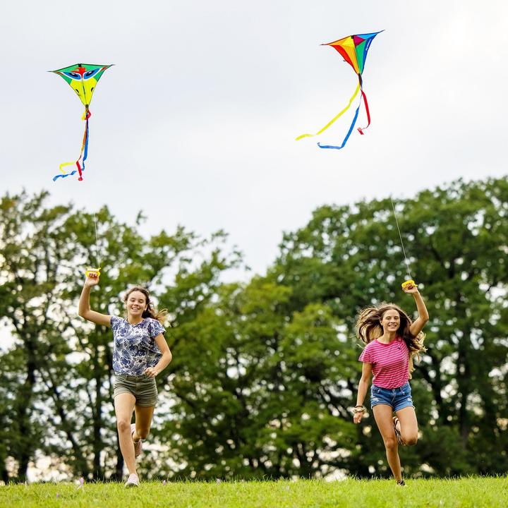 Produktbild Schildkröt SCHILDKR™T Lenkdrache Classic Kite 70 "Diamond"