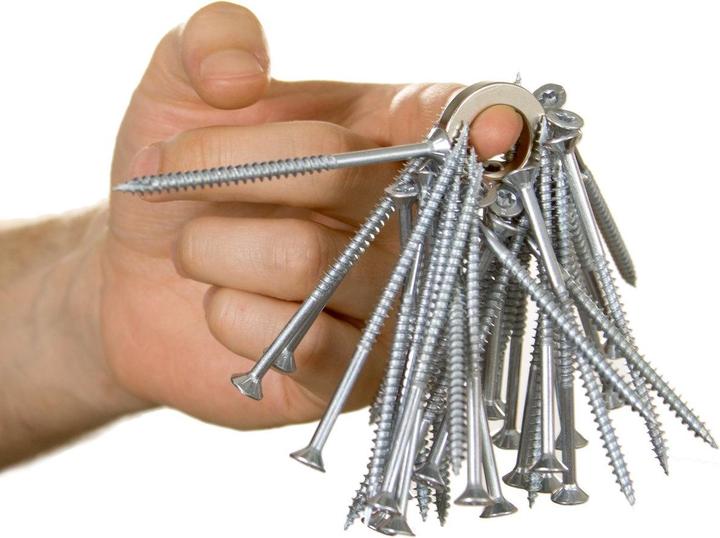 Produktbild Supermagnete Ringmagnet (1x)