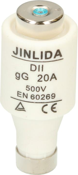 Actual product image Max Hauri Fuse 20A slow-blow 500V DT-II 5pcs. (20 A)