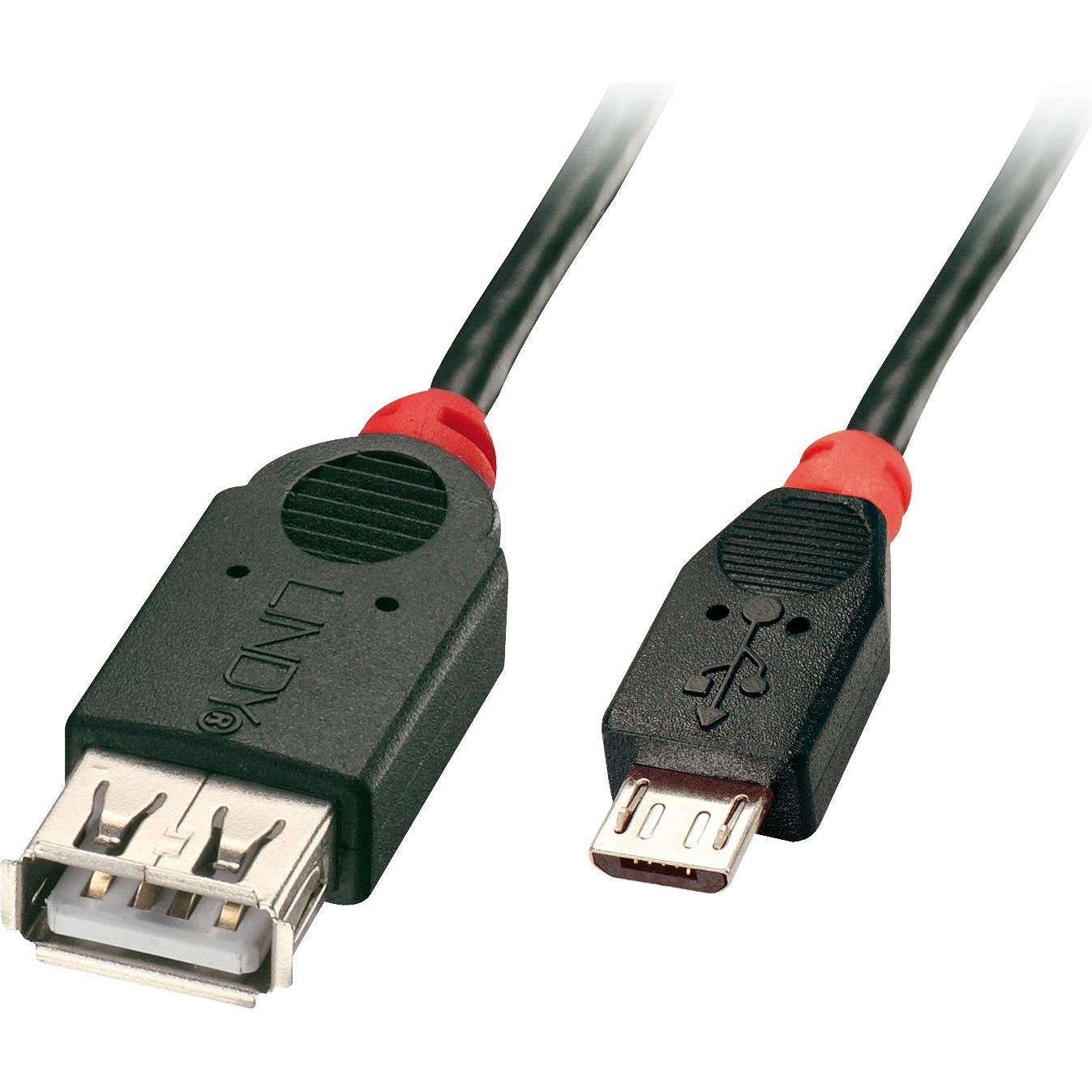 Lindy USB 2.0 Kabel (0.50 m, USB 2.0), USB Kabel