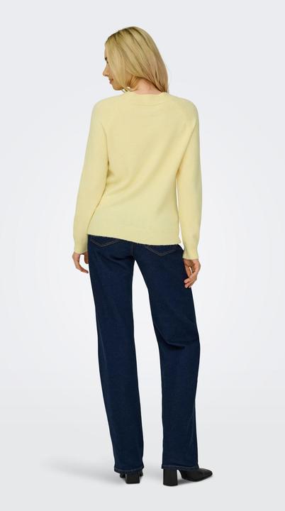 Actual product image Only ONLRICA Strickpullover Strickpullover (M)