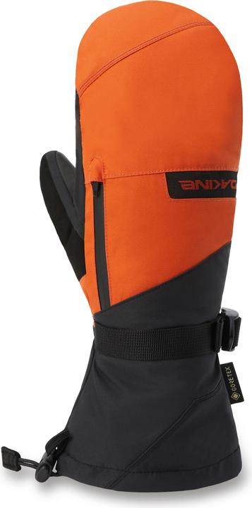 Actual product image Dakine Leather Titan Gore-Tex Mitts (L)