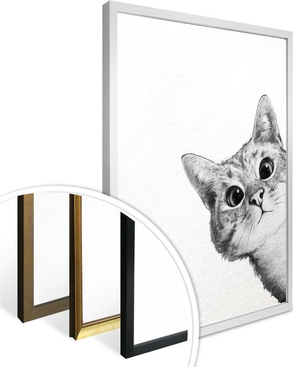 Immagine prodotto Trenddeko Gatto subdolo (24 x 30 cm)