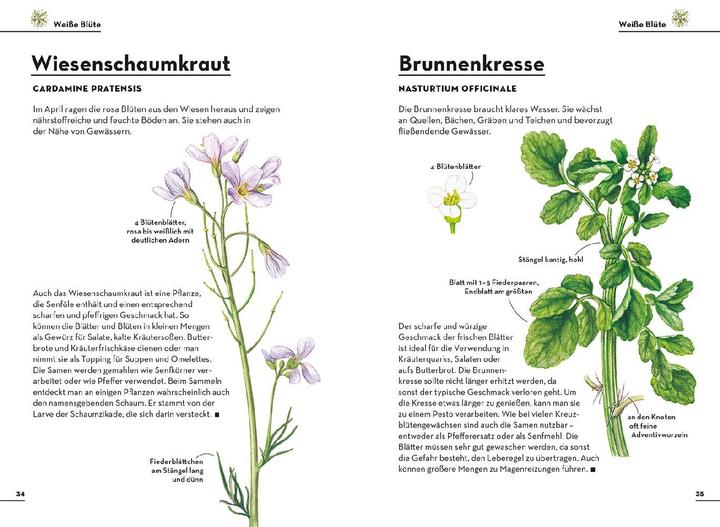 Actual product image Kosmos Einfach Essbar (German, Holger Hague, 2023)