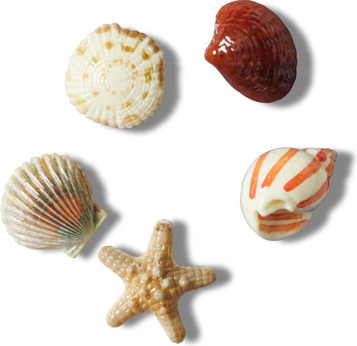 Produktbild Crocs She Sells Seashells/5 Pack (One Size)