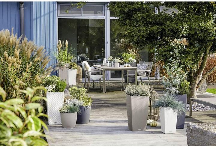 Immagine prodotto Lechuza Cubico Cottage (29.50 cm)