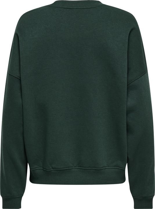 Actual product image JdY Jdymesa L/S O-Neck Emb Sweat Jrs Noos (M)
