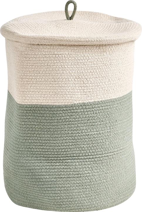 Beige, Beige chiaro, Verde