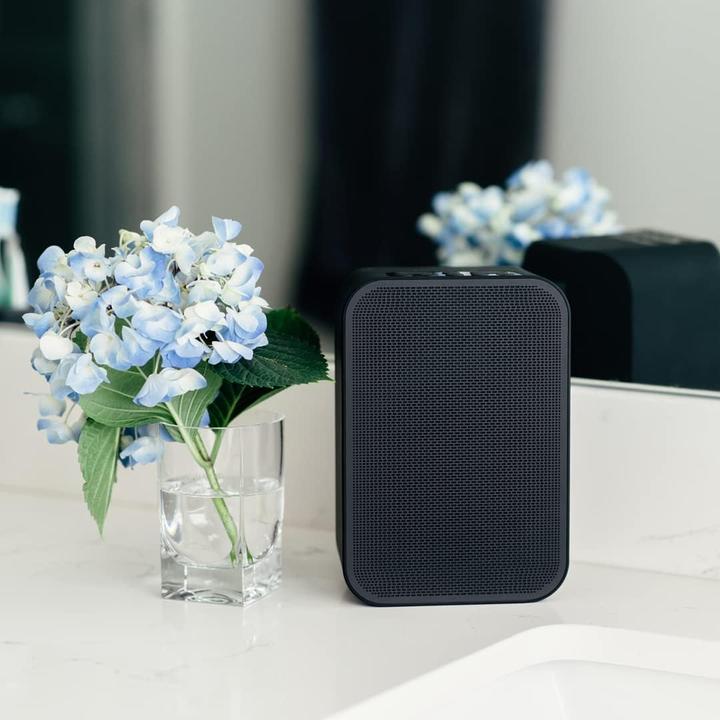 Actual product image Bluesound PULSE Flex 2i Draadloze speaker voor Multiroom met vijf presets - Zwart