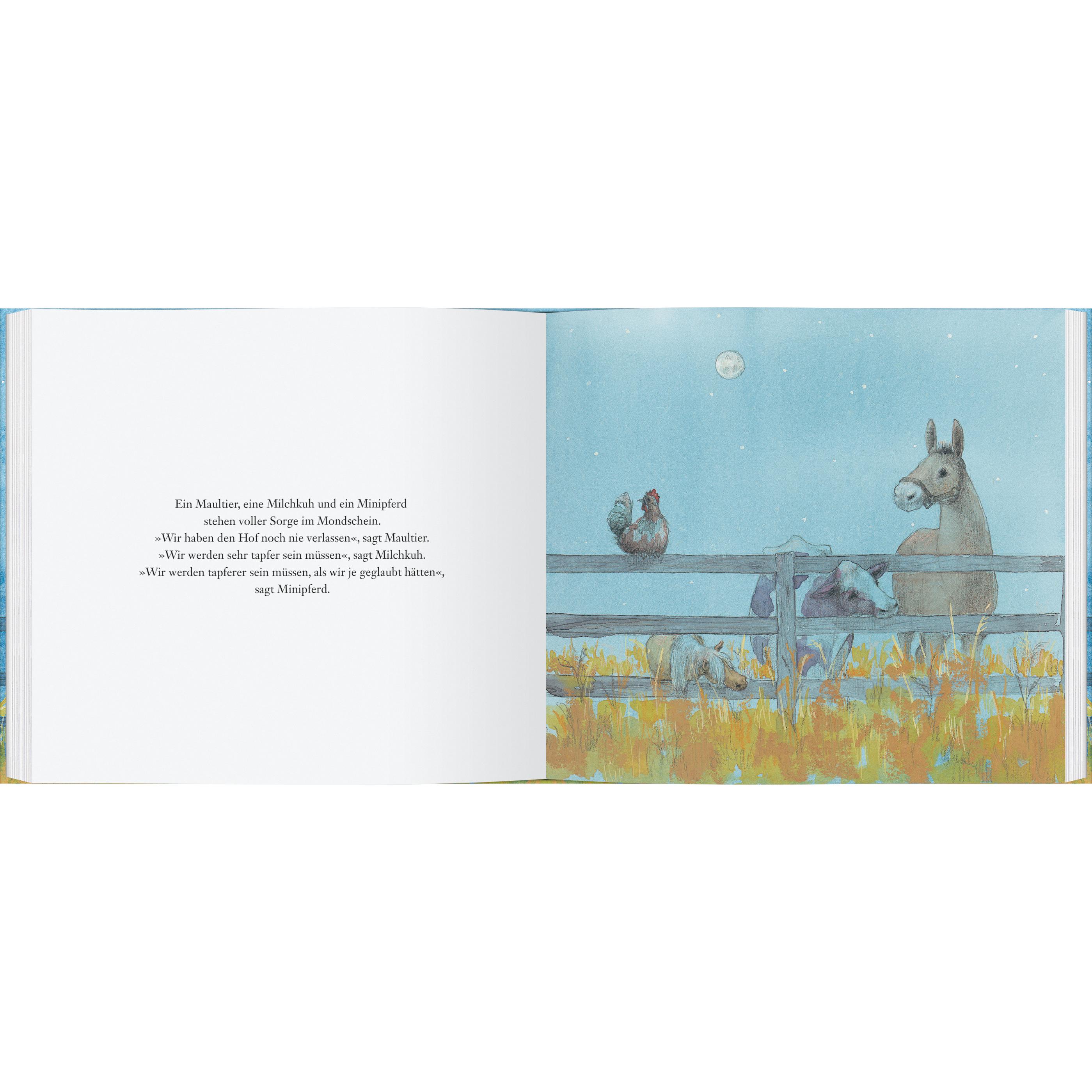 Thumbnail - Der Tag, an dem die Sonne verschlafen hat, Kinderbücher von Philip C. Stead