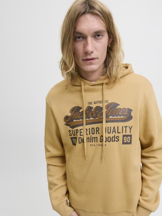Produktbild Jack & Jones JJELOGO SWEAT HOOD 2 COL 25/26 NOOS (M)