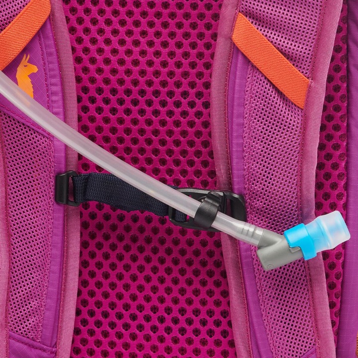 Actual product image Cotopaxi Lagos Hydration Pack (15 l)
