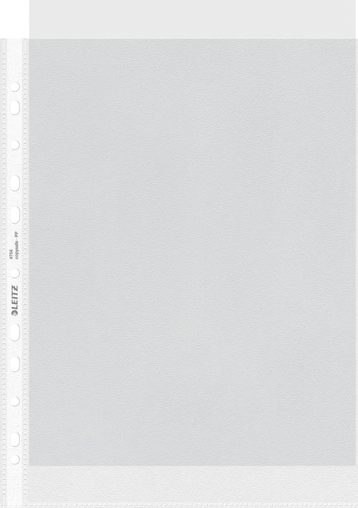 Leitz Pp (A4, 100 x)