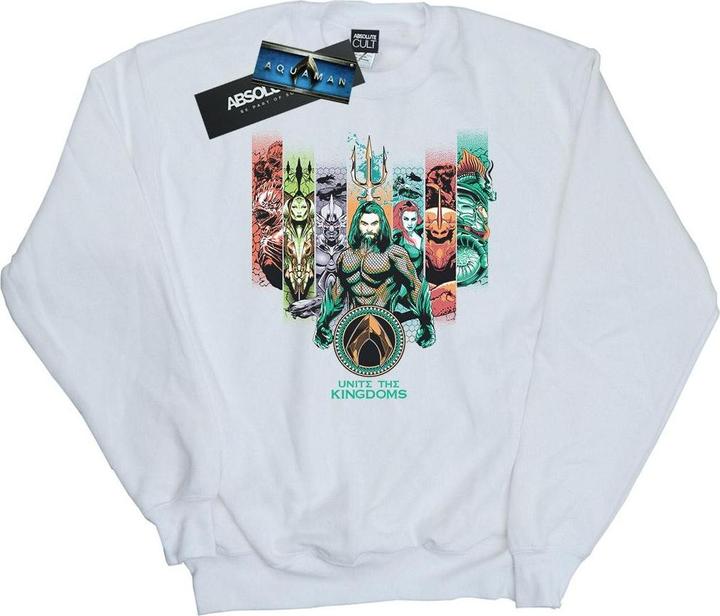 Produktbild Jungen Aquaman vereinigen die Königreiche Sweatshirt (152, 158)