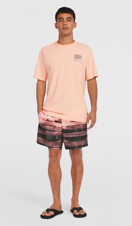 Produktbild O'Neill Cali Gradient 15" Swimshorts (XXL)