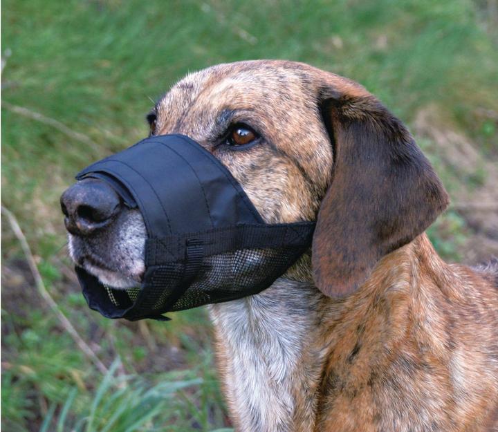 Produktbild Trixie Maulkorb mit Netzeinsatz verstellbar (L, XL, Hund, Allgemein)