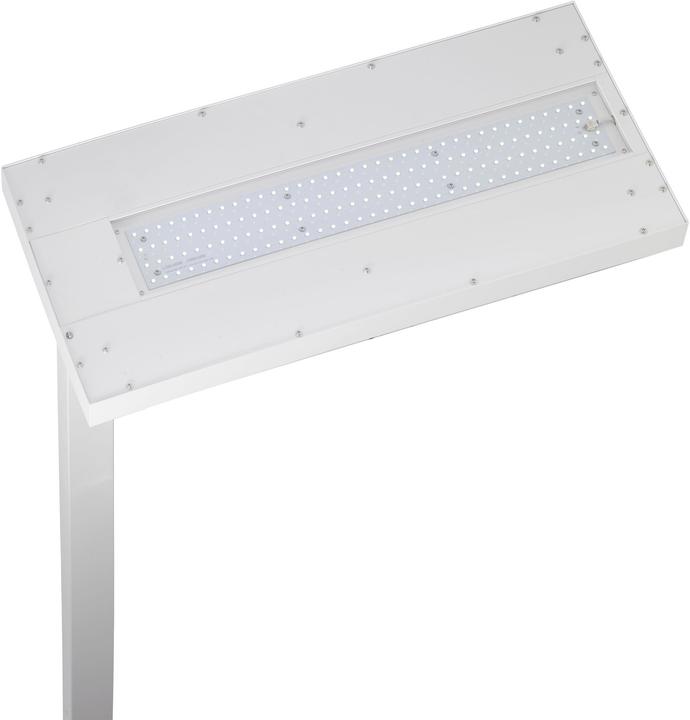 Actual product image Alco Floor lamp 9085-10 LED white (5400 lm)