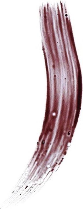 Produktbild Makeup Revolution Brow Tint Medium Brown 6ml (Medium Brown)