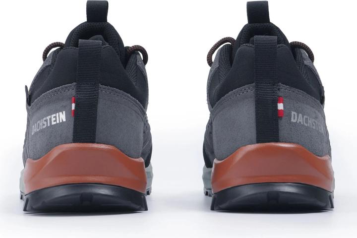 Image du produit Dachstein SF-21 GTX (42)