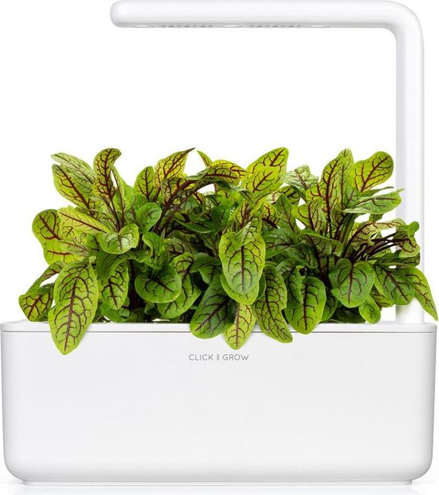Immagine prodotto Click and Grow Semi di acetosella (Semi di piante)