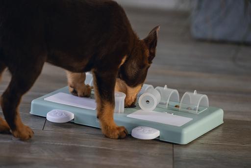 Actual product image Beeztees Reef (Intelligence toy dog)