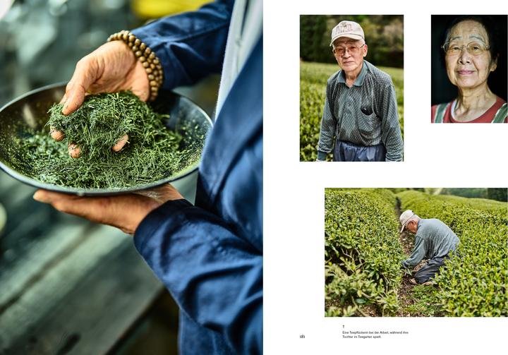 Actual product image Teatrip Japan (German, Christian Beck, Francs Haala, Lars Harmsen, Stefan Braun, 2025)