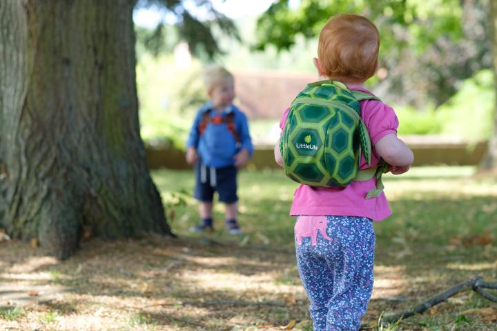 Produktbild Littlelife Schildkröte