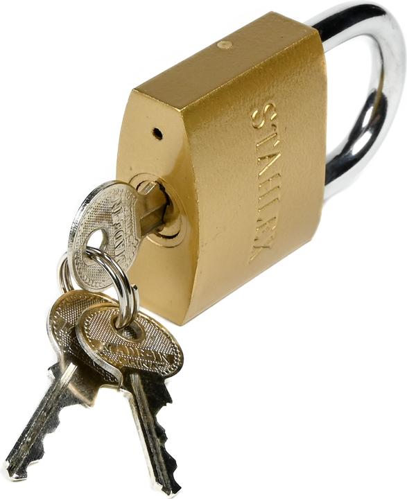 Actual product image Stahlex Padlock 50 mm