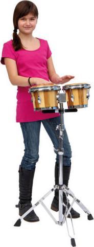 Actual product image Betzold Musik Bongos striped (bongos)
