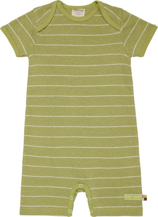 Alligator