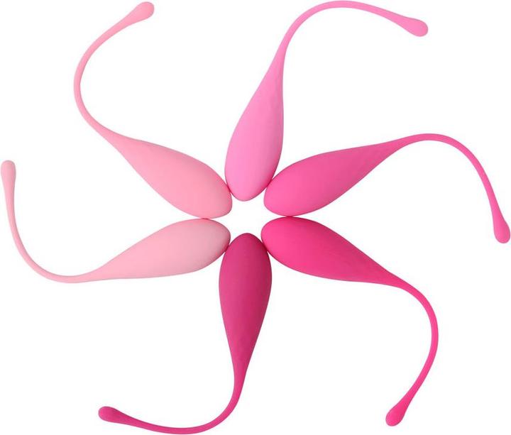 Image du produit Leslie Kegel Fit Pelvic Muscle Training Set 6 pièces (50 -130 g)