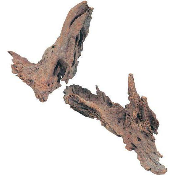 Zolux Mangrove Root 25-40 cm (Höhle, sonstige Gegenstände), Aquarium Dekoration