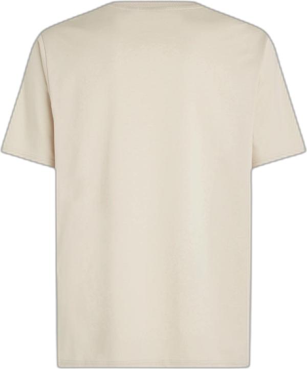 Produktbild O'Neill t-shirt o'nei the future surf (L)